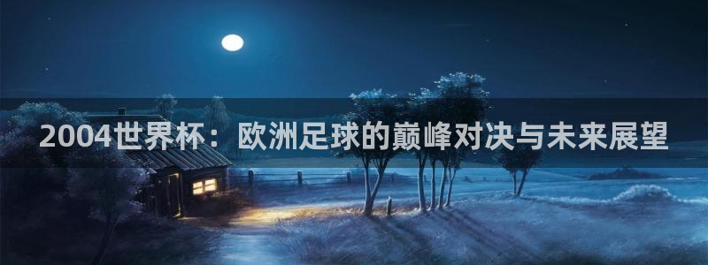 世界杯球队：2004世界杯：欧洲足球的巅峰对决与未来展望