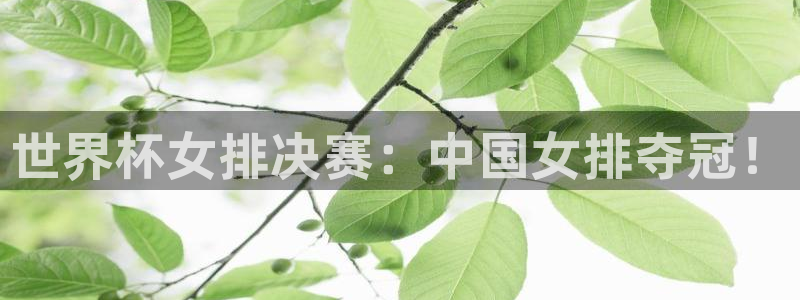 世界杯直播平台：世界杯女排决赛：中国女排夺冠！