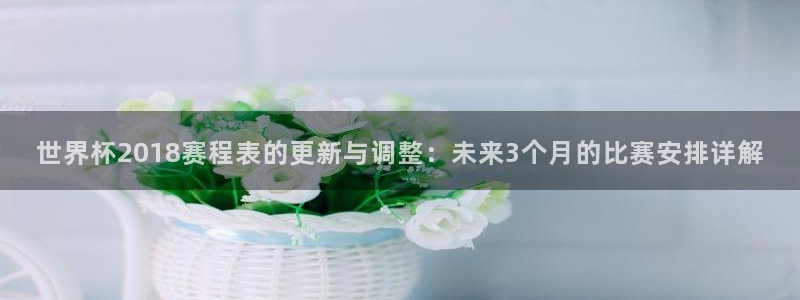 世界杯足球赛2026：世界杯2018赛程表的更新与调整：未来3个月的比赛安排详解