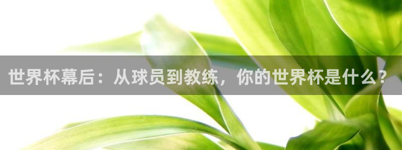 世界杯决赛预测：世界杯幕后：从球员到教练，你的世界杯是什么？