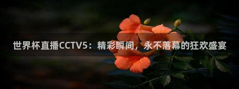 世界杯足球直播：世界杯直播CCTV5：精彩瞬间，永不落幕的狂欢盛宴