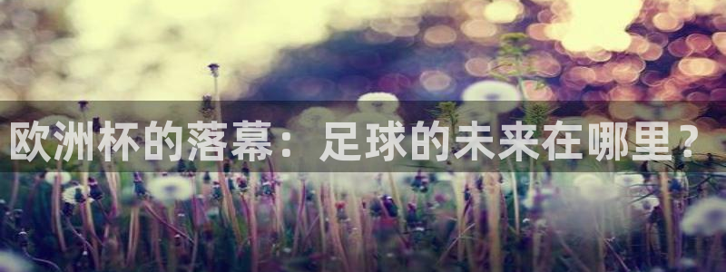 世界杯 中国：欧洲杯的落幕：足球的未来在哪里？