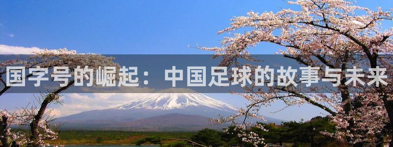 欧洲世界杯预选赛：国字号的崛起：中国足球的故事与未来
