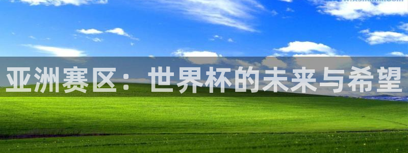 世界杯足球赛：亚洲赛区：世界杯的未来与希望