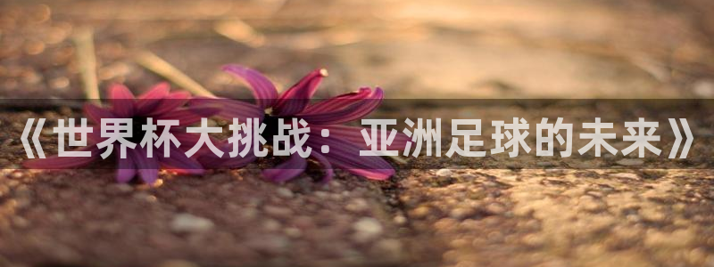 世界杯比赛时间：《世界杯大挑战：亚洲足球的未来》