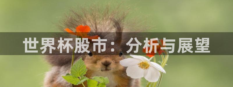 世界杯女足直播：世界杯股市：分析与展望