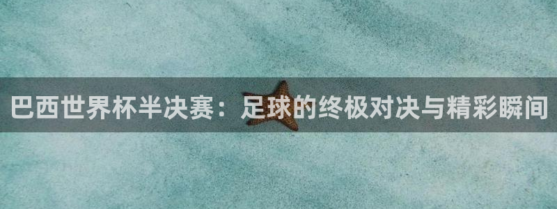 世界杯官网入口：巴西世界杯半决赛：足球的终极对决与精彩瞬间