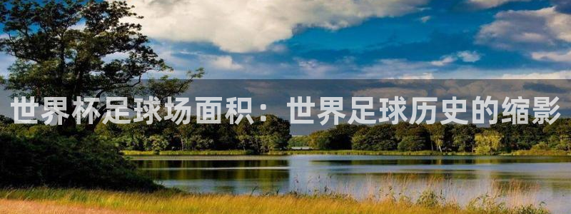 亚洲区世界杯预选赛：世界杯足球场面积：世界足球历史的缩影