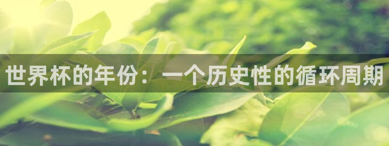 2026世界杯赛程时间表最新：世界杯的年份：一个历史性的循环周期