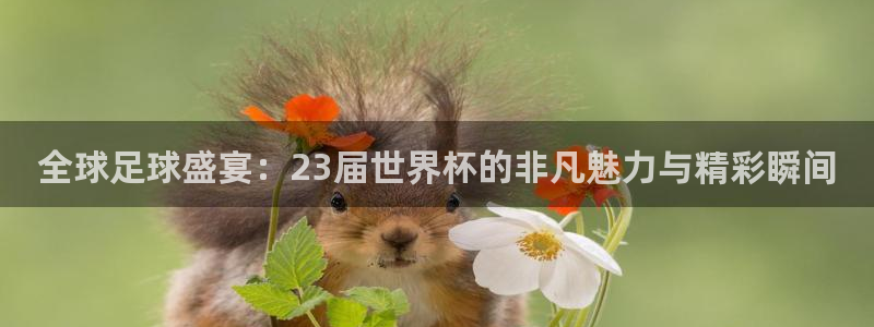 英格兰联赛杯直播：全球足球盛宴：23届世界杯的非凡魅力与精彩瞬间